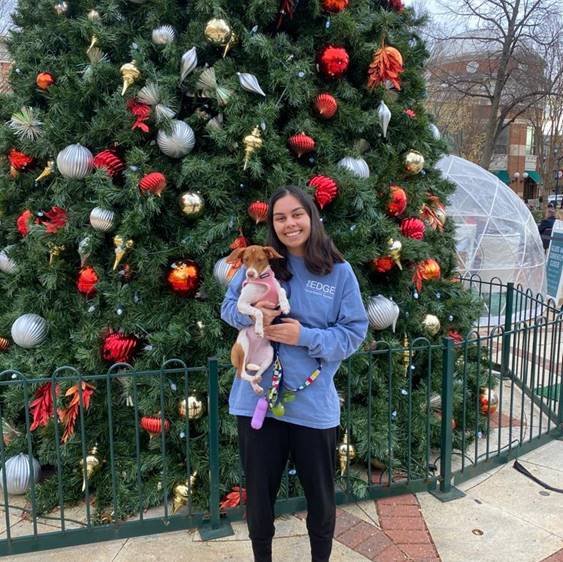Veda, Maya & Hazel — photo 5